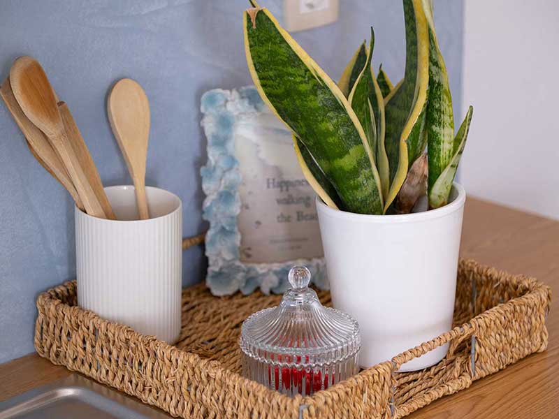 Équipement dans la cuisine de l'appartement