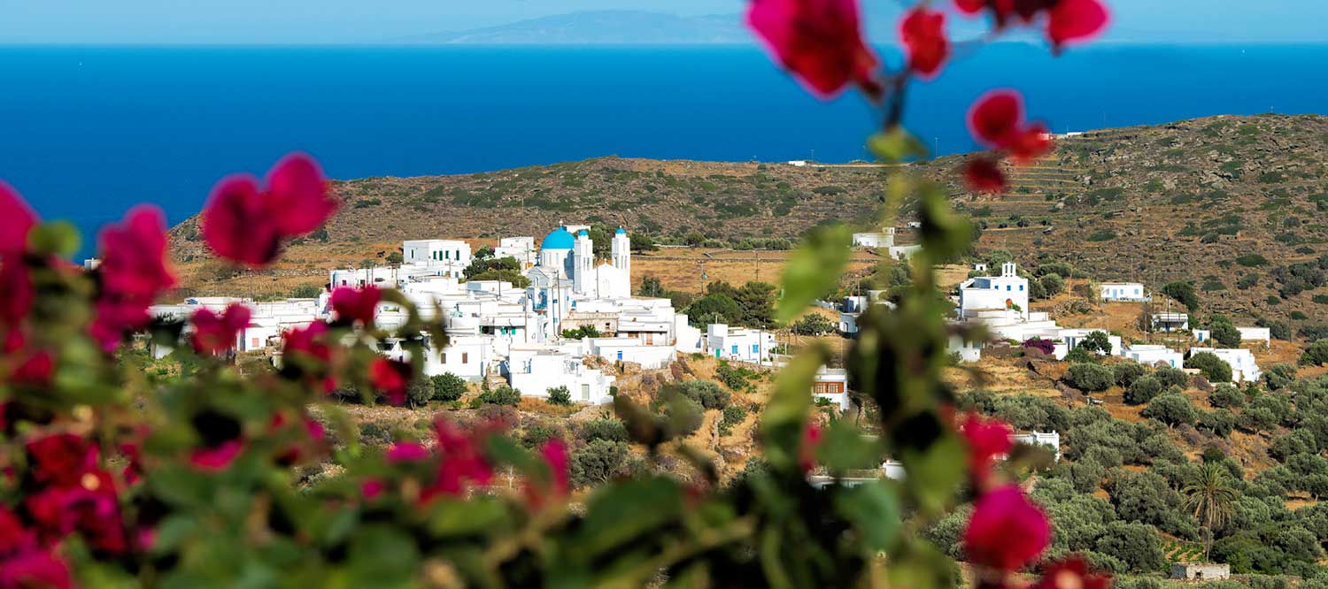 Vue sur le village de Kato Petali depuis Moscha Geronti apartments à Sifnos