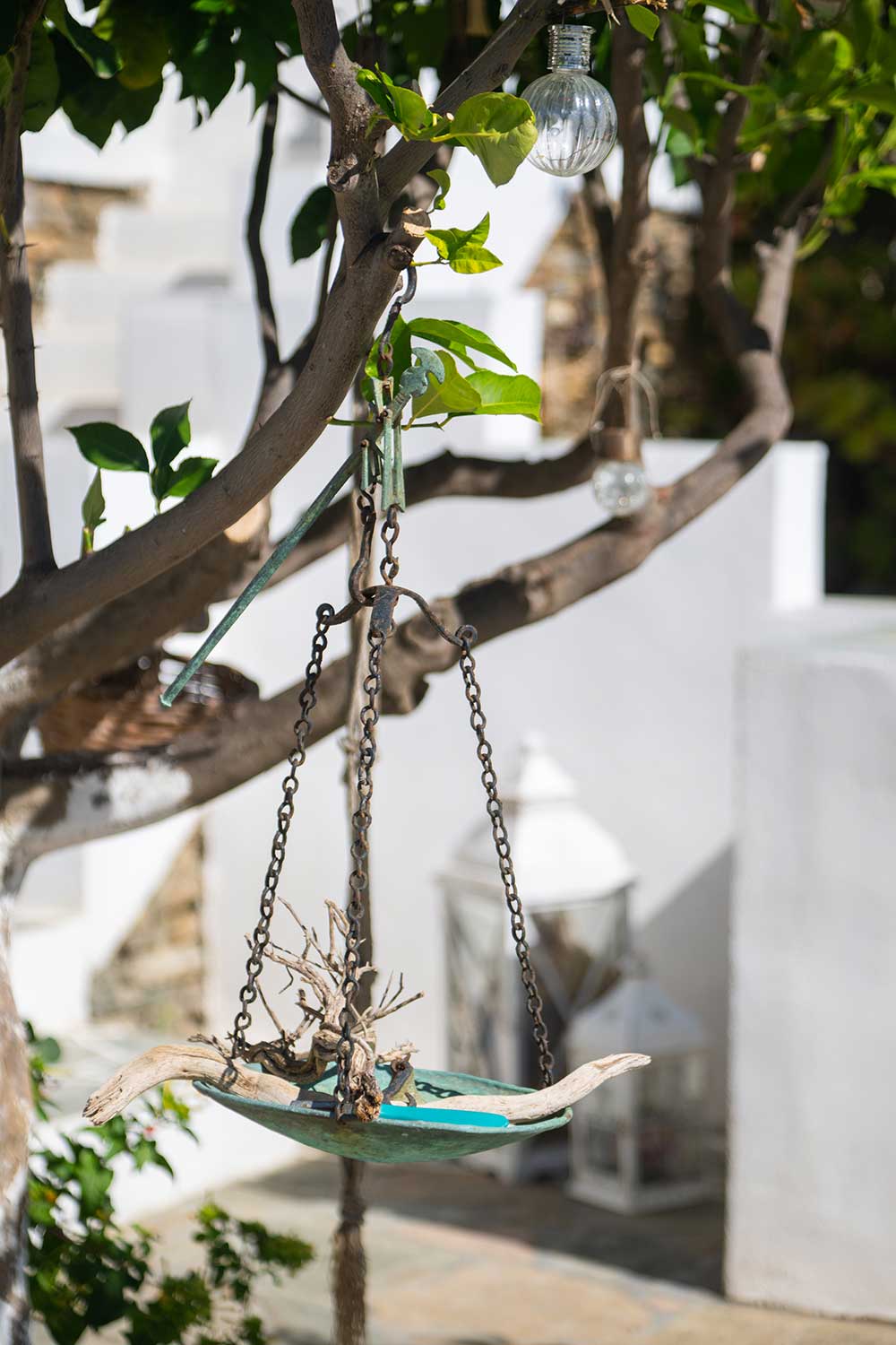 Détails concernant les espaces extérieurs de l'hébergement