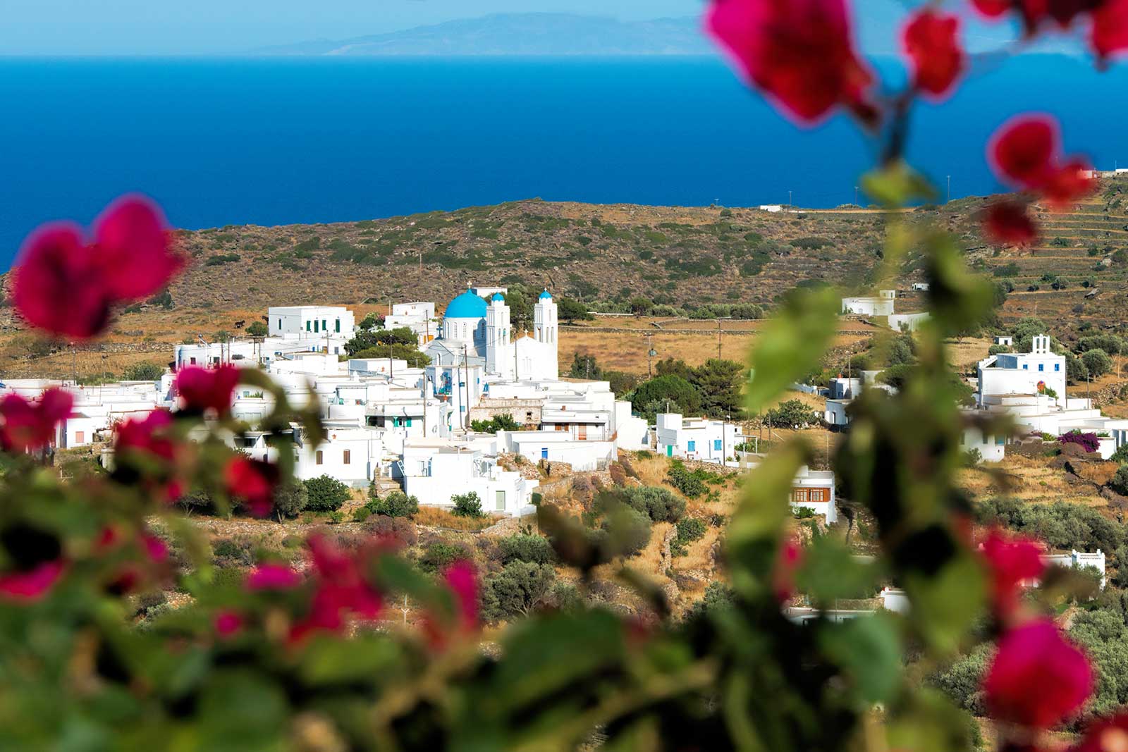 La vue sur le village de Kato Petali et la mer depuis Moscha Geronti apartments
